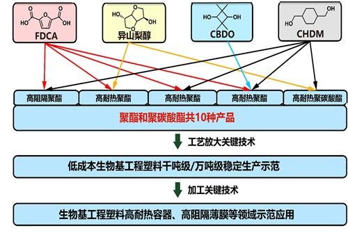 宁波材料所国家重点研发计划项目获批立项，生物基材料技术研发开启新篇章