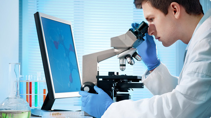 腾龙公司引领未来 生物基材料技术的创新研发与可持续发展